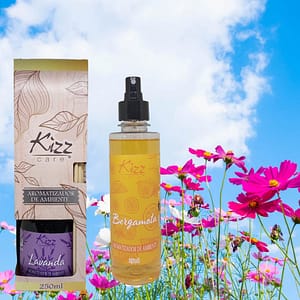 AROMATIZADORES DE AMBIENTES